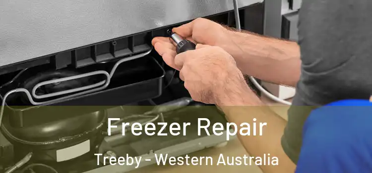 Freezer Repair Treeby - Western Australia