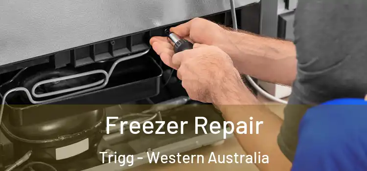 Freezer Repair Trigg - Western Australia