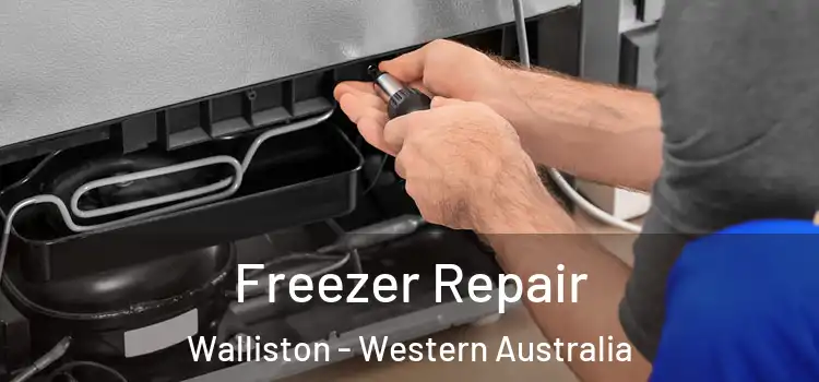 Freezer Repair Walliston - Western Australia