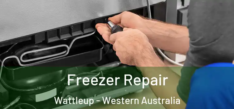 Freezer Repair Wattleup - Western Australia