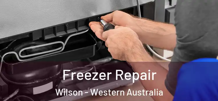 Freezer Repair Wilson - Western Australia