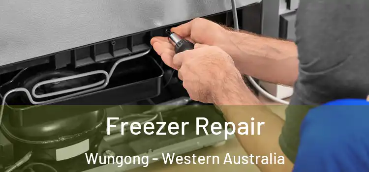Freezer Repair Wungong - Western Australia