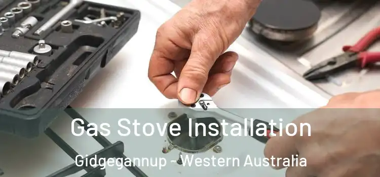 Gas Stove Installation Gidgegannup - Western Australia