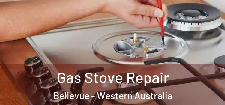 Gas Stove Repair Bellevue - Western Australia