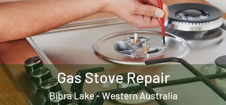 Gas Stove Repair Bibra Lake - Western Australia