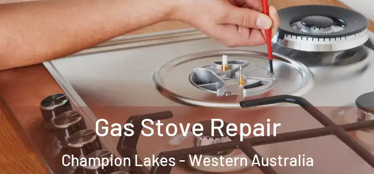 Gas Stove Repair Champion Lakes - Western Australia