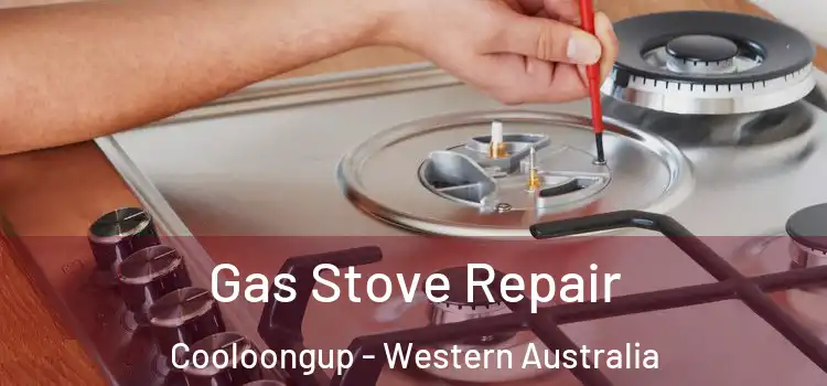 Gas Stove Repair Cooloongup - Western Australia