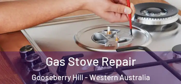 Gas Stove Repair Gooseberry Hill - Western Australia