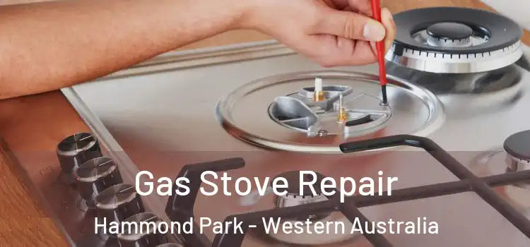 Gas Stove Repair Hammond Park - Western Australia