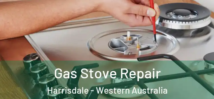 Gas Stove Repair Harrisdale - Western Australia