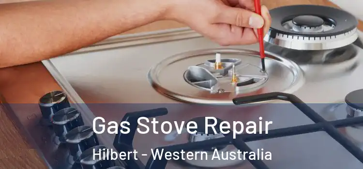 Gas Stove Repair Hilbert - Western Australia
