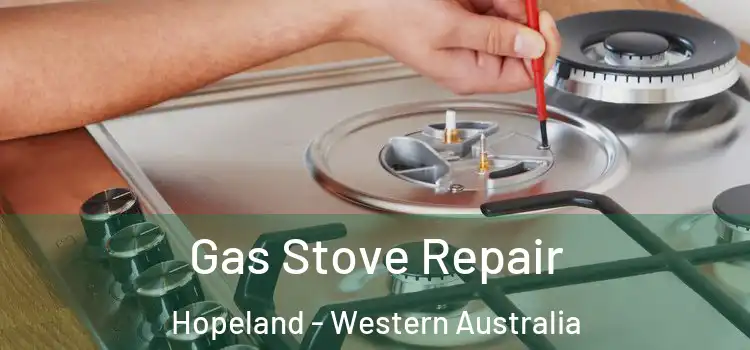 Gas Stove Repair Hopeland - Western Australia