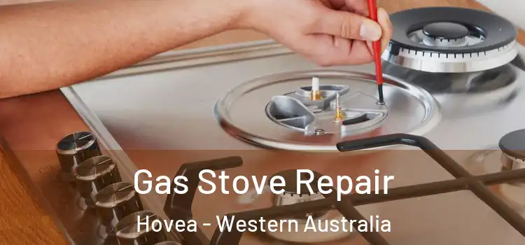 Gas Stove Repair Hovea - Western Australia
