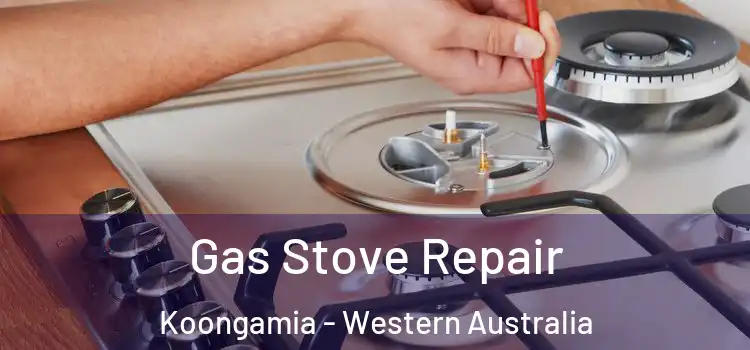 Gas Stove Repair Koongamia - Western Australia