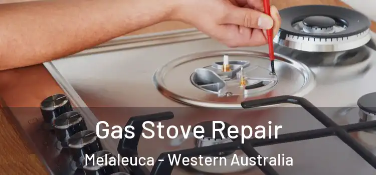 Gas Stove Repair Melaleuca - Western Australia
