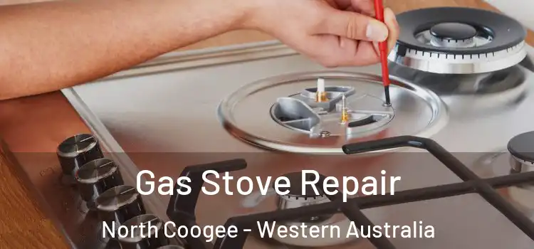 Gas Stove Repair North Coogee - Western Australia