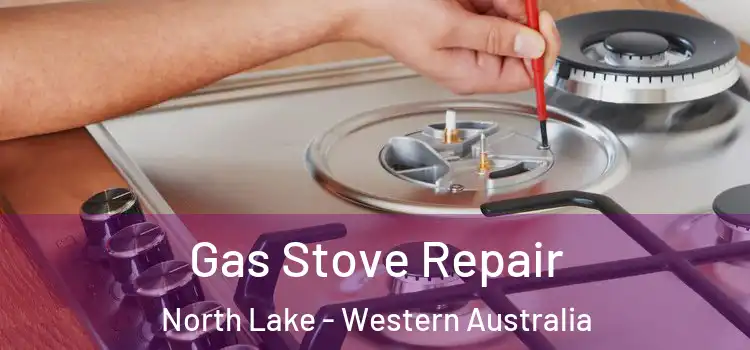 Gas Stove Repair North Lake - Western Australia