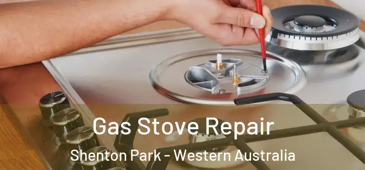 Gas Stove Repair Shenton Park - Western Australia
