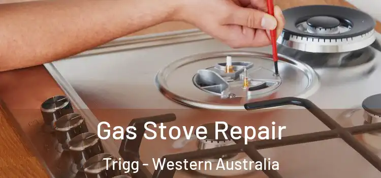 Gas Stove Repair Trigg - Western Australia