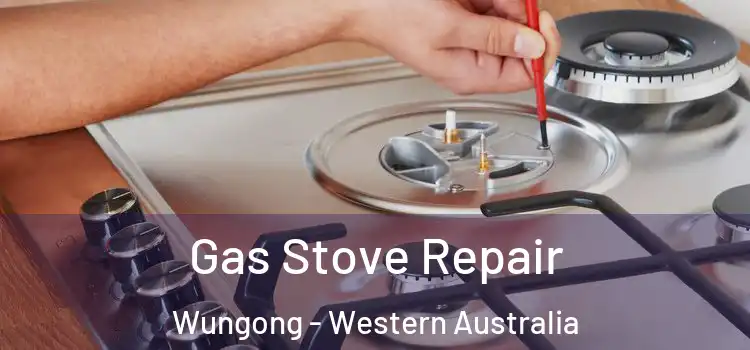 Gas Stove Repair Wungong - Western Australia