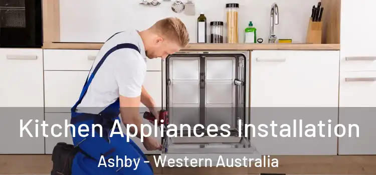 Kitchen Appliances Installation Ashby - Western Australia
