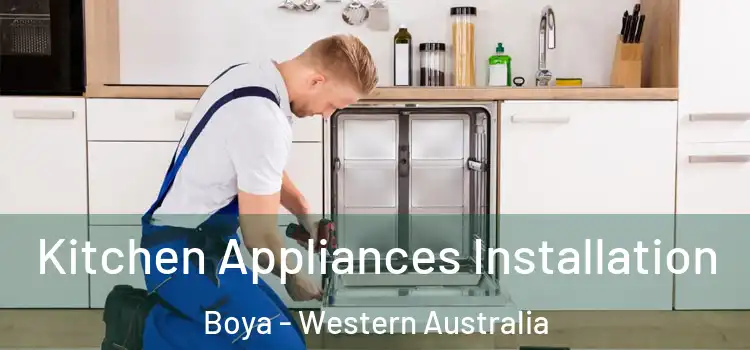Kitchen Appliances Installation Boya - Western Australia