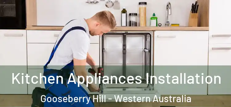 Kitchen Appliances Installation Gooseberry Hill - Western Australia