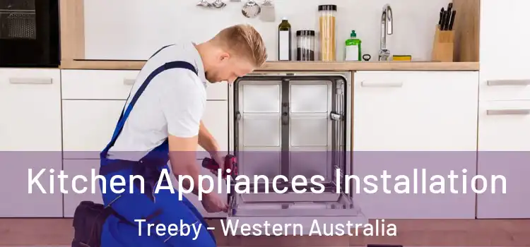 Kitchen Appliances Installation Treeby - Western Australia
