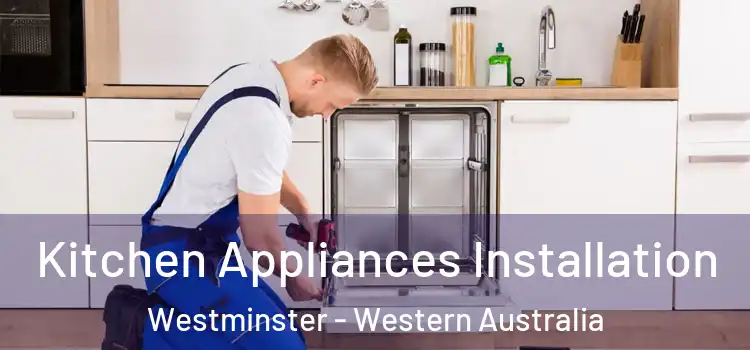 Kitchen Appliances Installation Westminster - Western Australia