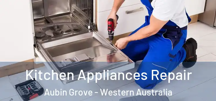 Kitchen Appliances Repair Aubin Grove - Western Australia