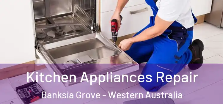 Kitchen Appliances Repair Banksia Grove - Western Australia