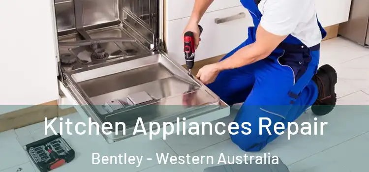 Kitchen Appliances Repair Bentley - Western Australia