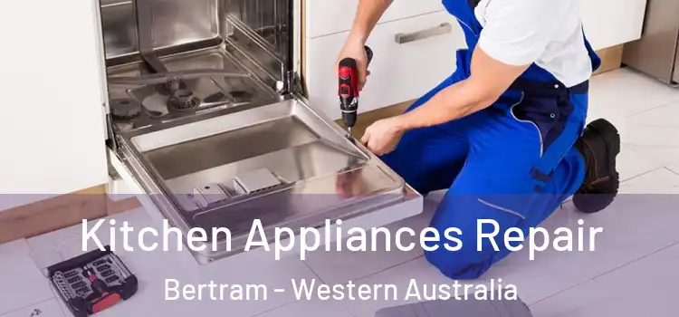 Kitchen Appliances Repair Bertram - Western Australia