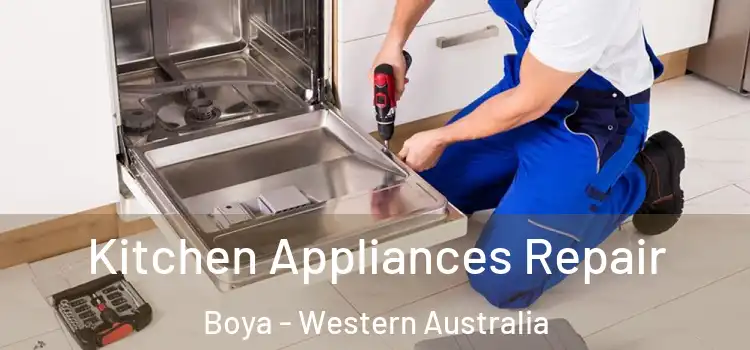 Kitchen Appliances Repair Boya - Western Australia