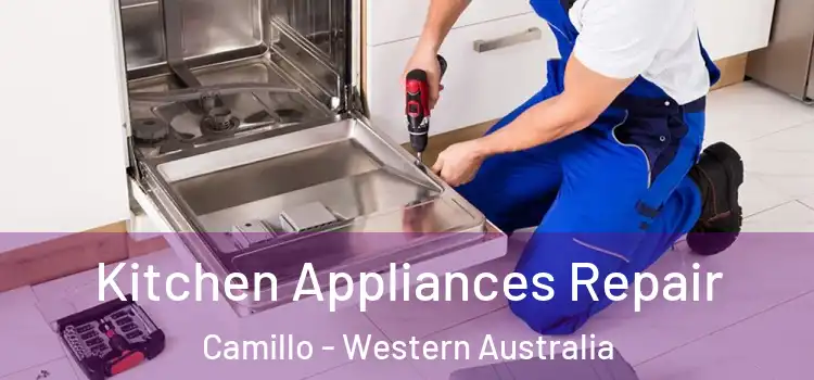 Kitchen Appliances Repair Camillo - Western Australia
