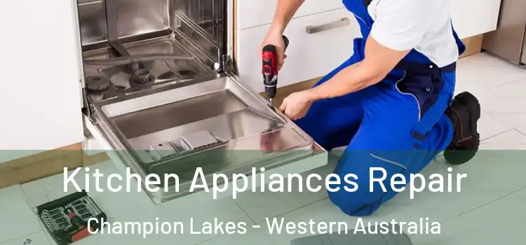 Kitchen Appliances Repair Champion Lakes - Western Australia