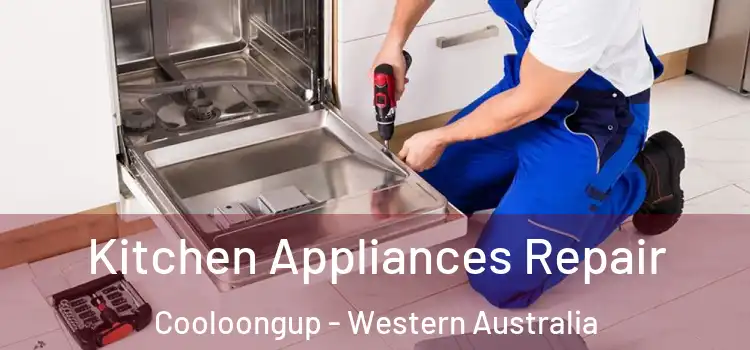 Kitchen Appliances Repair Cooloongup - Western Australia