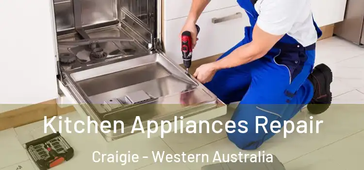 Kitchen Appliances Repair Craigie - Western Australia