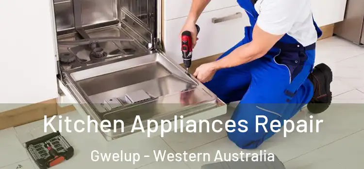 Kitchen Appliances Repair Gwelup - Western Australia