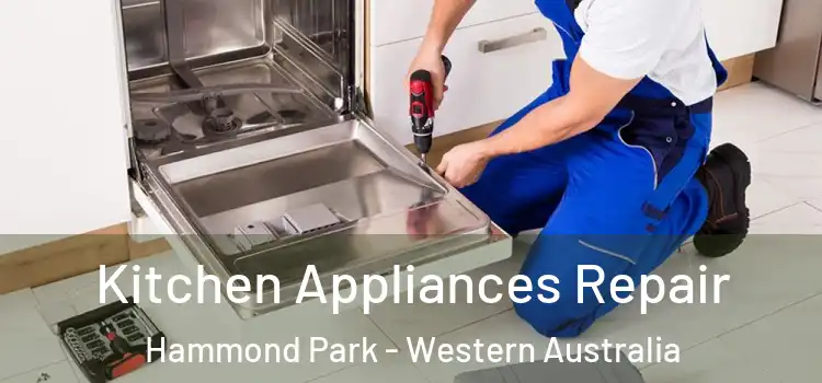 Kitchen Appliances Repair Hammond Park - Western Australia