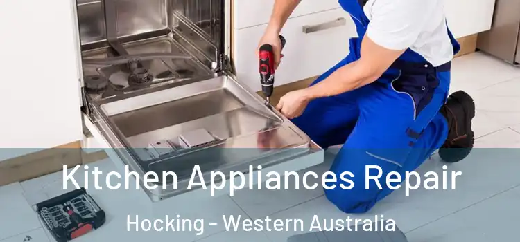 Kitchen Appliances Repair Hocking - Western Australia