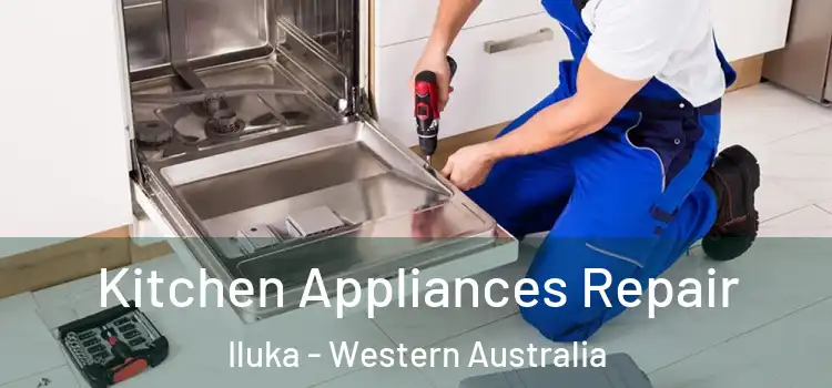 Kitchen Appliances Repair Iluka - Western Australia