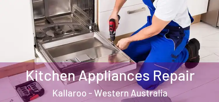 Kitchen Appliances Repair Kallaroo - Western Australia