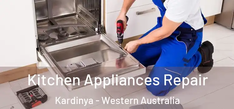 Kitchen Appliances Repair Kardinya - Western Australia