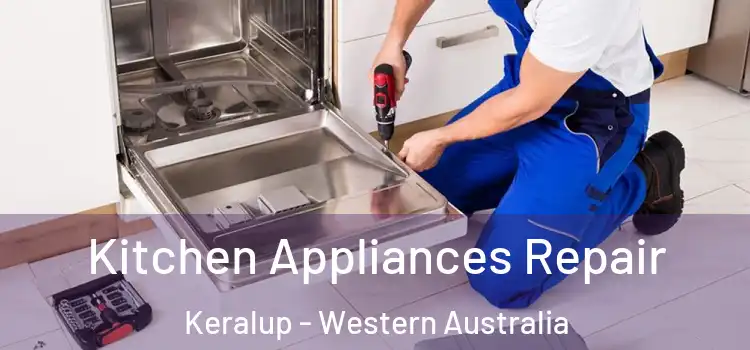 Kitchen Appliances Repair Keralup - Western Australia