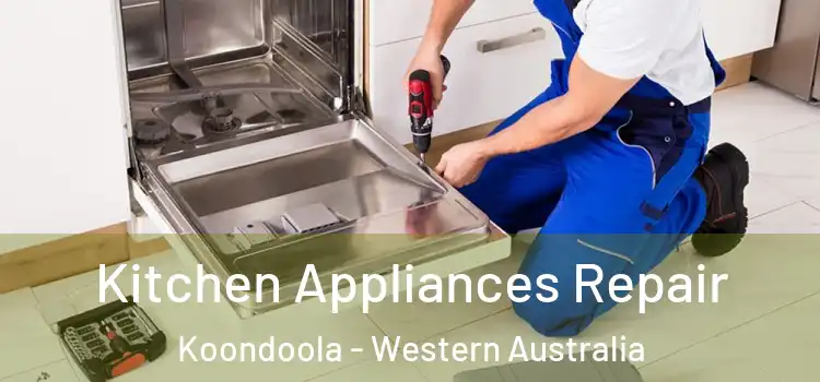 Kitchen Appliances Repair Koondoola - Western Australia