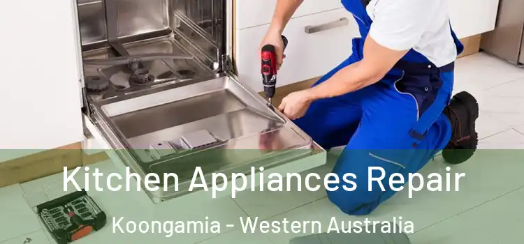 Kitchen Appliances Repair Koongamia - Western Australia