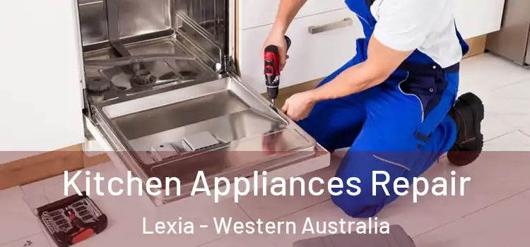 Kitchen Appliances Repair Lexia - Western Australia
