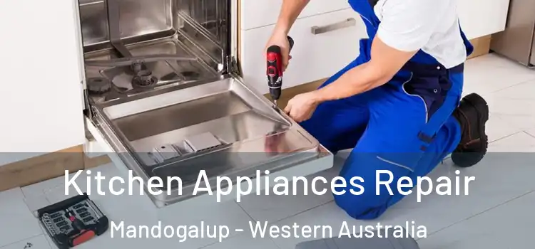 Kitchen Appliances Repair Mandogalup - Western Australia