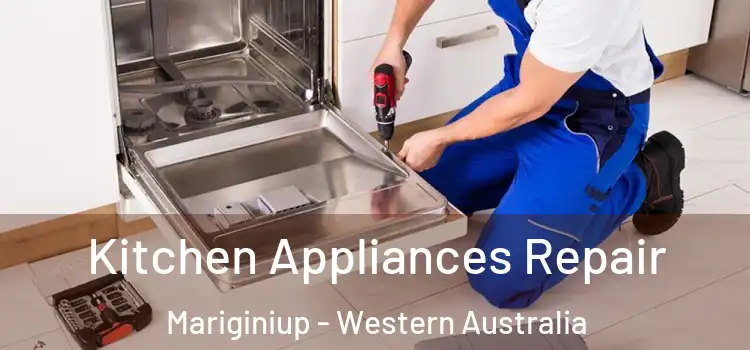 Kitchen Appliances Repair Mariginiup - Western Australia